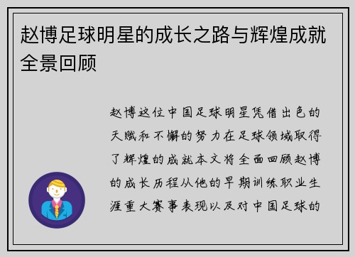 赵博足球明星的成长之路与辉煌成就全景回顾
